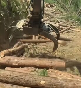 rotating log grab 2 e1784793470154